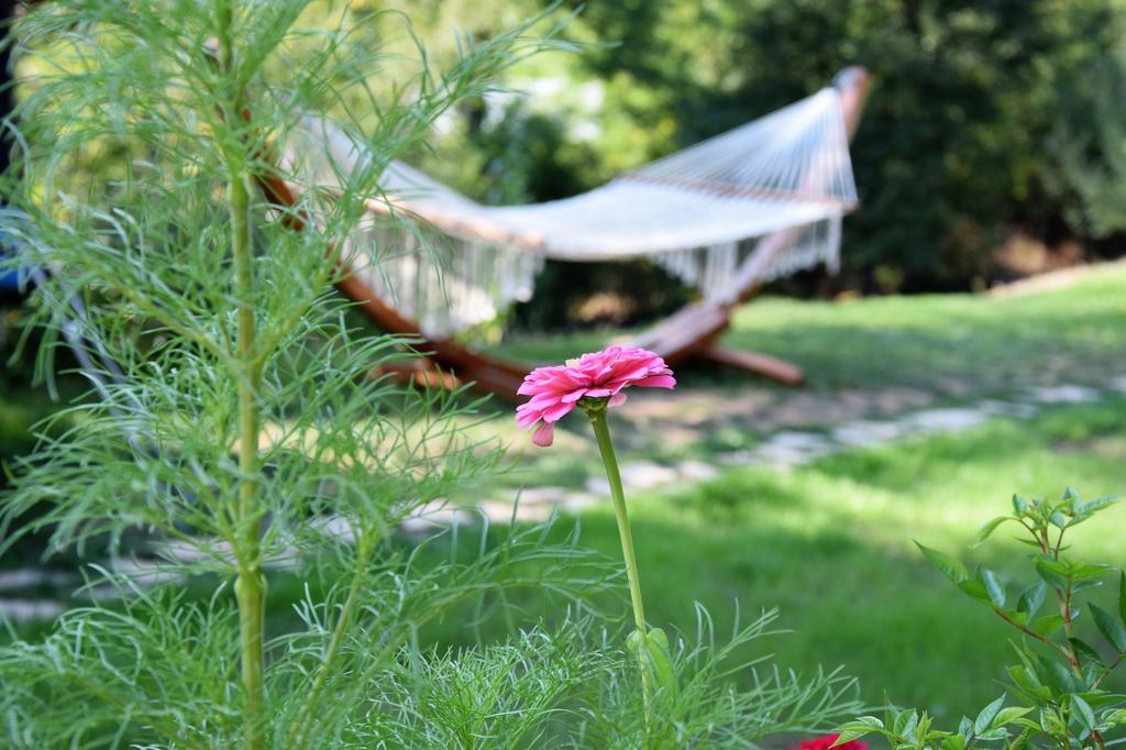 Golden Horn Guest House Iskrets Dış mekan fotoğraf