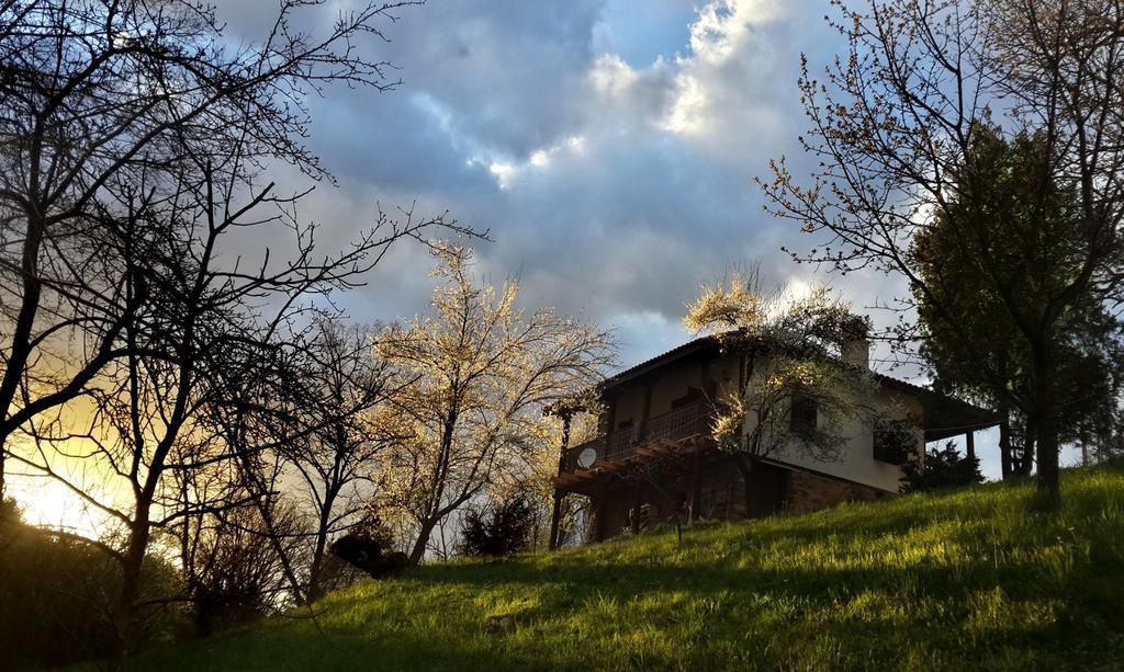 Golden Horn Guest House Iskrets Dış mekan fotoğraf